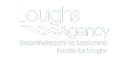 loughs agency ecommerce consultancy